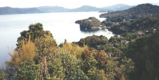 [ A picturesque bay on Stewart Island ]