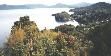 [ A tranquil bay on Stewart Island ]