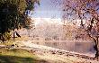 [ The shoreline of lake Wanaka ]